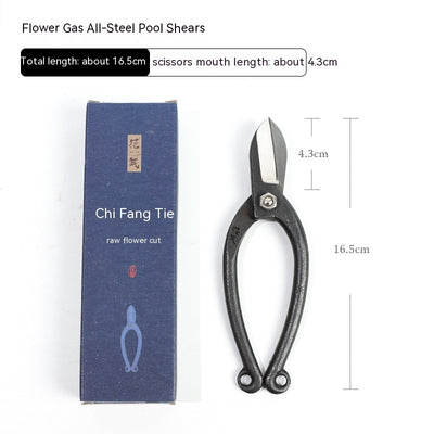 Professional Floral Scissors