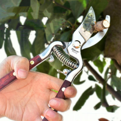 Garden Scissors Tools Hellogoods llc special
